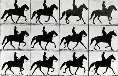 One Stride in Eleven Phases, 1881, Illustration from 